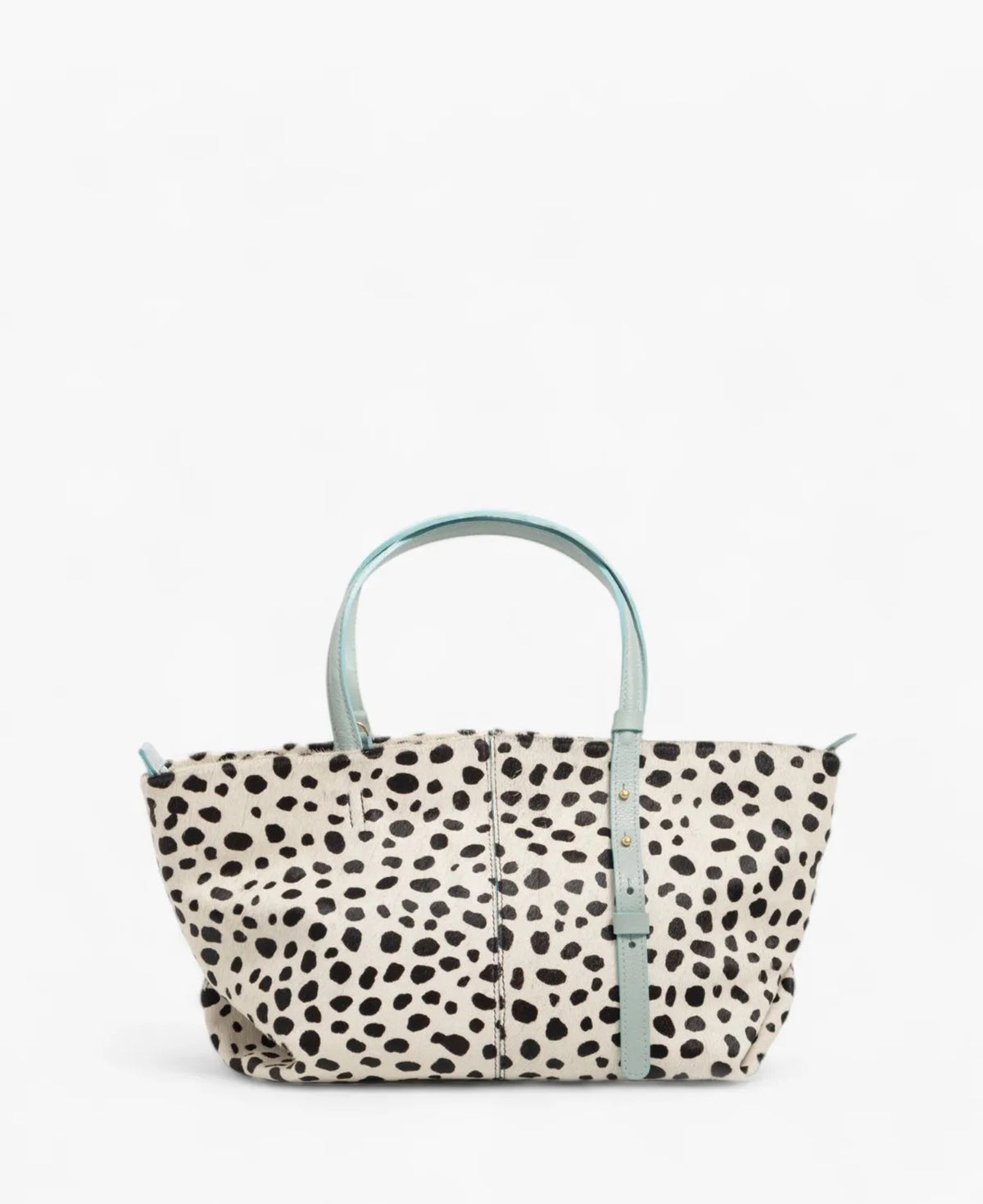 Dalmata